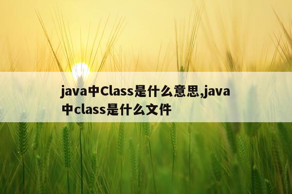 java中Class是什么意思,java中class是什么文件