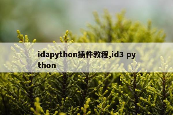 idapython插件教程,id3 python