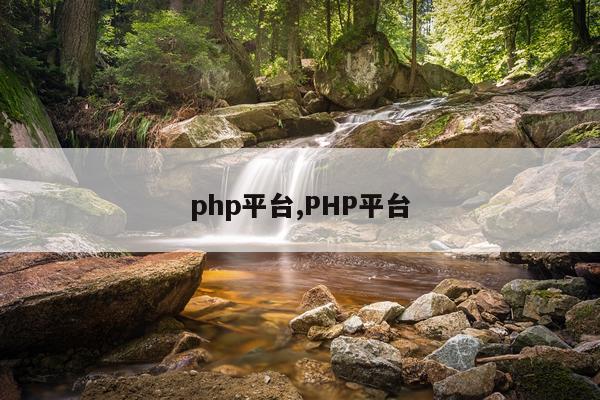 php平台,PHP平台