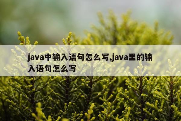 java中输入语句怎么写,java里的输入语句怎么写