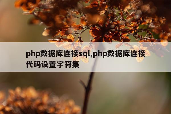 php数据库连接sql,php数据库连接代码设置字符集