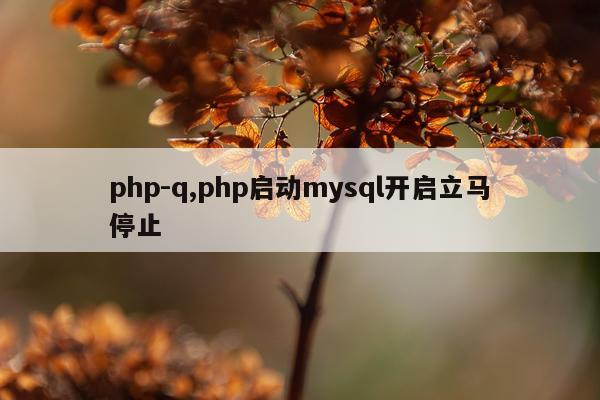 php-q,php启动mysql开启立马停止