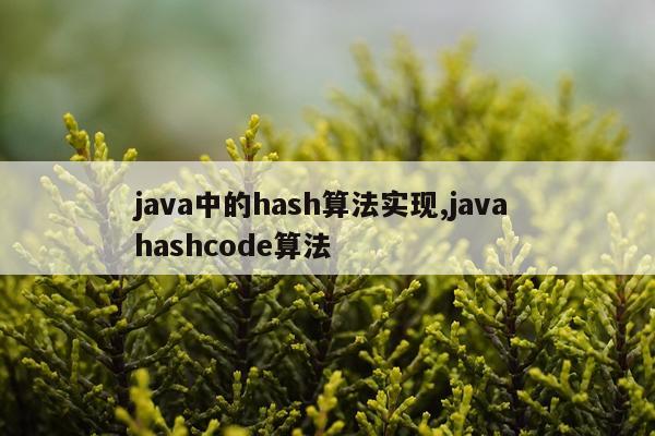 java中的hash算法实现,java hashcode算法