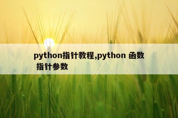 python指针教程,python 函数 指针参数