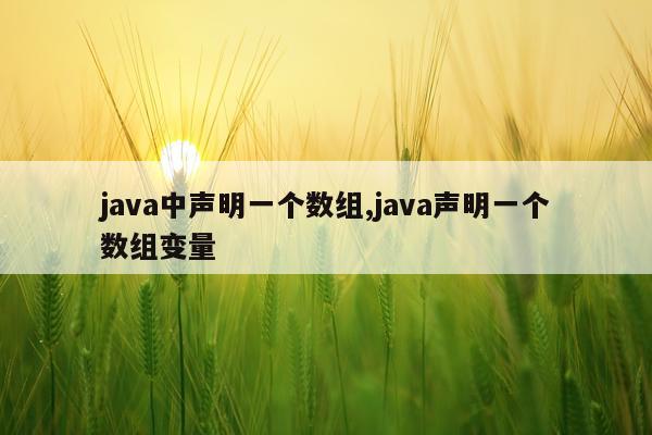 java中声明一个数组,java声明一个数组变量