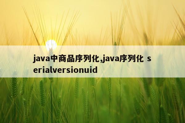java中商品序列化,java序列化 serialversionuid