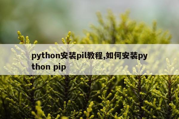 python安装pil教程,如何安装python pip