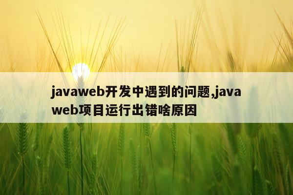 javaweb开发中遇到的问题,javaweb项目运行出错啥原因