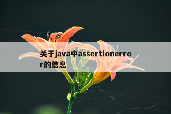 关于java中assertionerror的信息