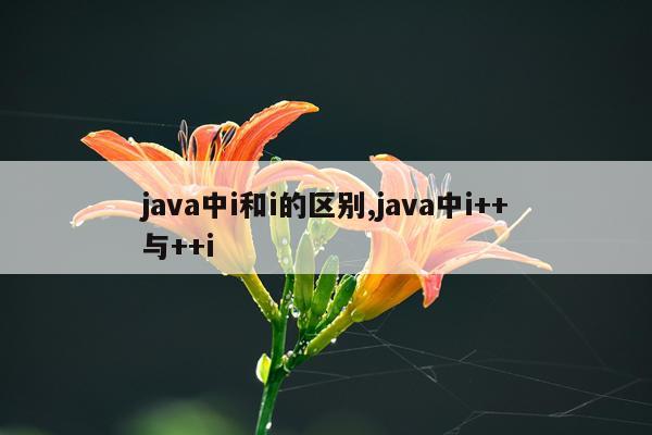 java中i和i的区别,java中i++与++i