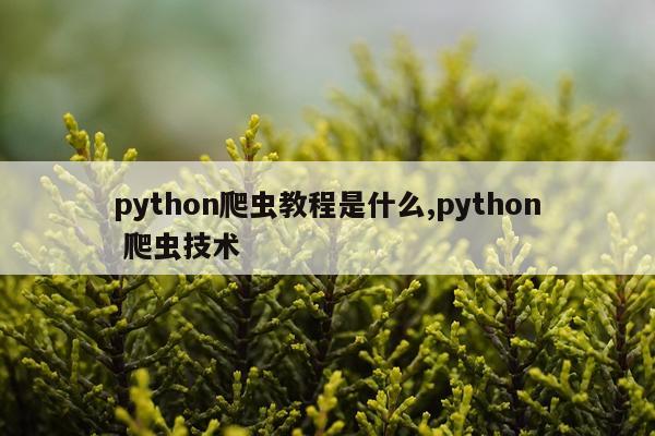 python爬虫教程是什么,python 爬虫技术