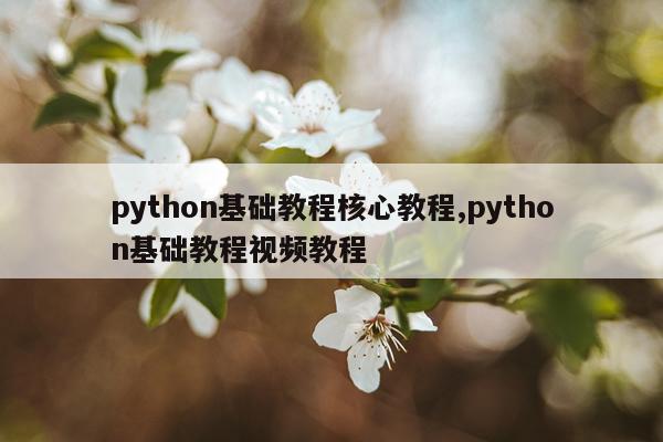 python基础教程核心教程,python基础教程视频教程