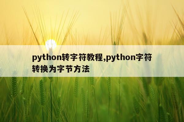 python转字符教程,python字符转换为字节方法