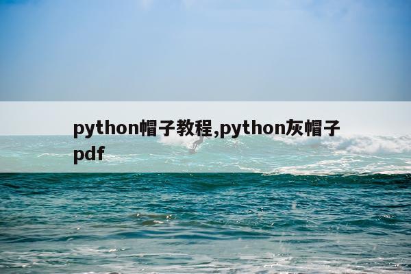 python帽子教程,python灰帽子pdf