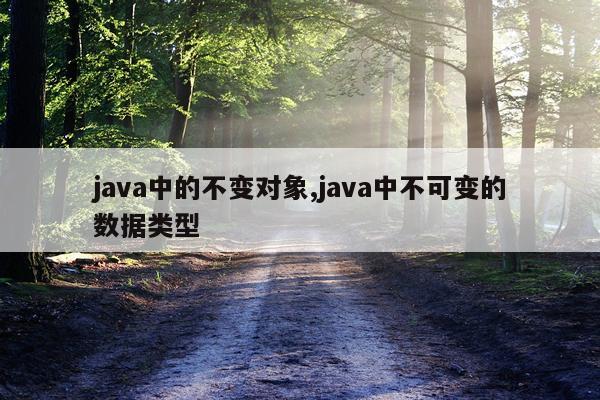 java中的不变对象,java中不可变的数据类型