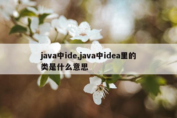 java中ide,java中idea里的类是什么意思