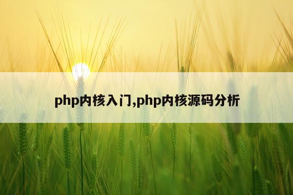 php内核入门,php内核源码分析