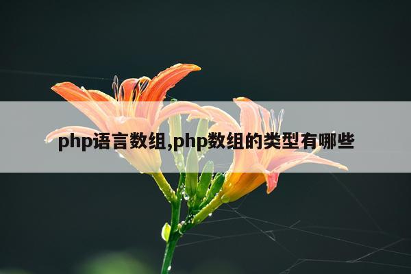 php语言数组,php数组的类型有哪些