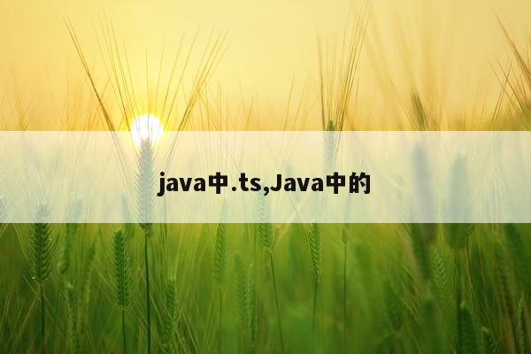 java中.ts,Java中的