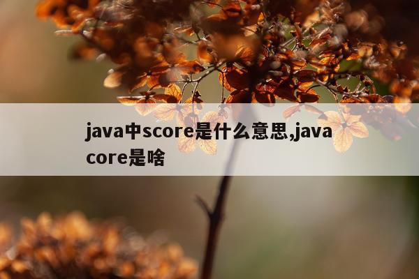 java中score是什么意思,javacore是啥