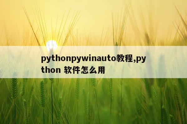 pythonpywinauto教程,python 软件怎么用