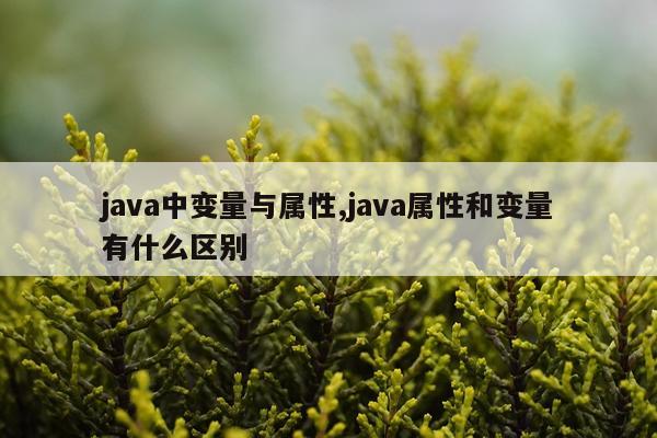 java中变量与属性,java属性和变量有什么区别