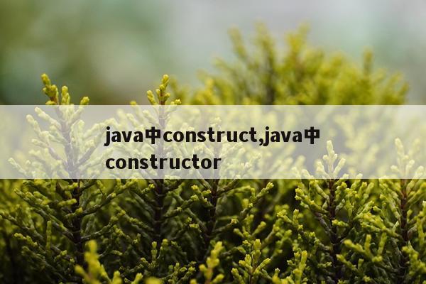 java中construct,java中constructor