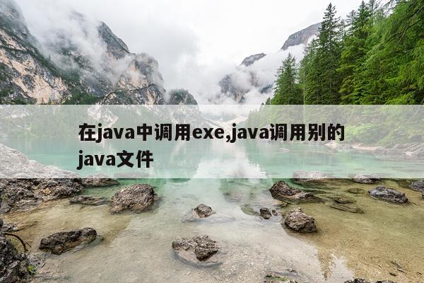 在java中调用exe,java调用别的java文件