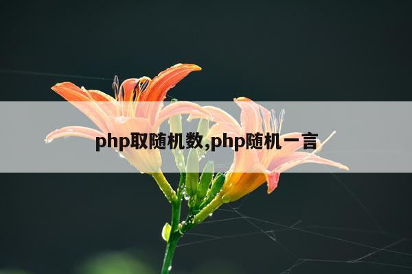 php取随机数,php随机一言