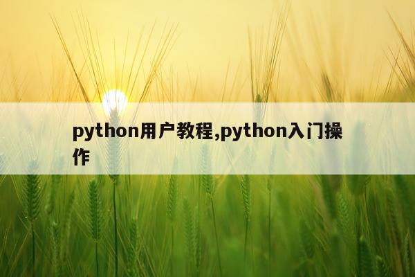 python用户教程,python入门操作