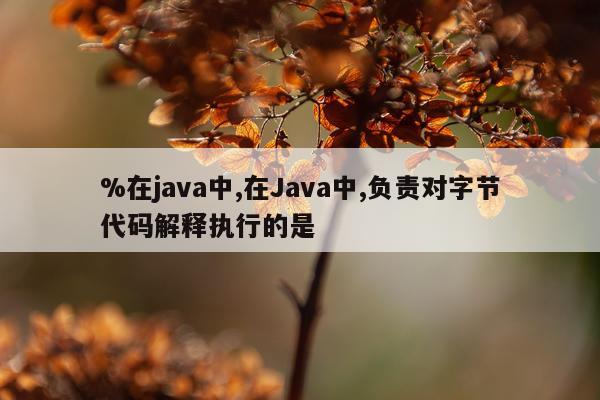 %在java中,在Java中,负责对字节代码解释执行的是 