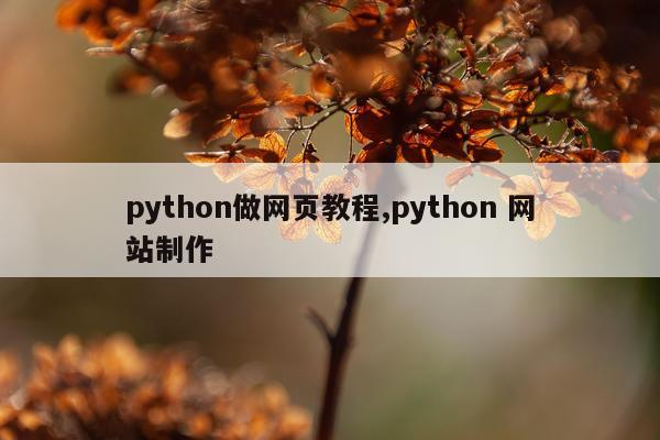 python做网页教程,python 网站制作