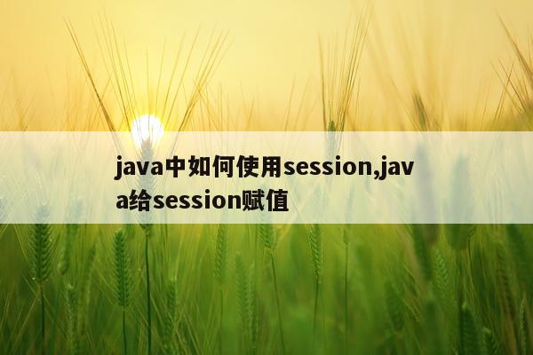 java中如何使用session,java给session赋值