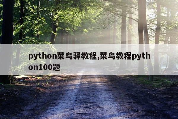 python菜鸟驿教程,菜鸟教程python100题