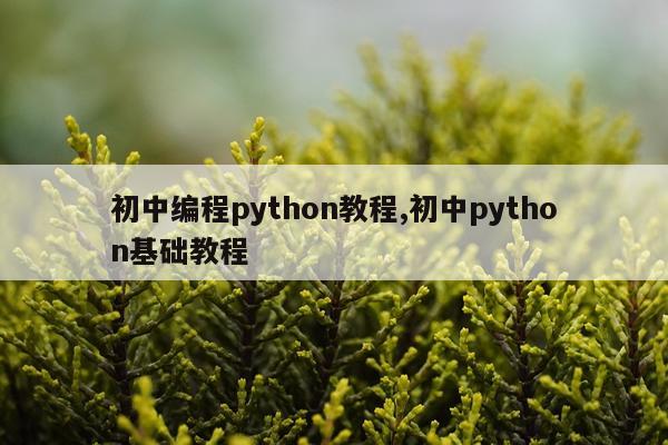 初中编程python教程,初中python基础教程
