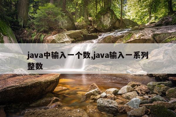 java中输入一个数,java输入一系列整数