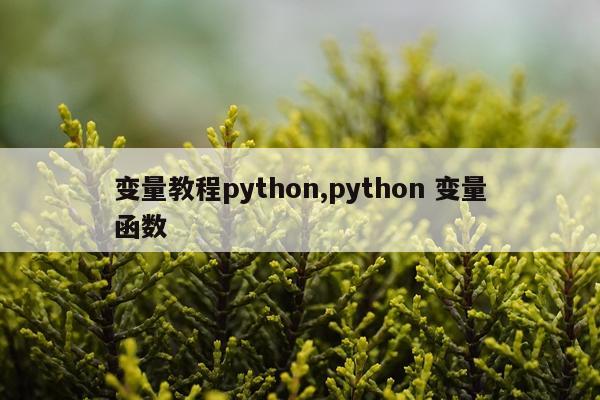 变量教程python,python 变量函数