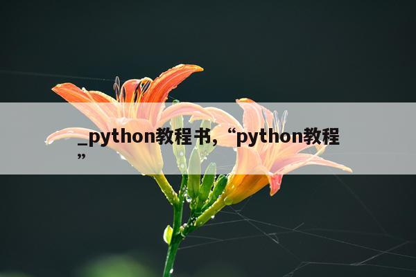 _python教程书,“python教程”