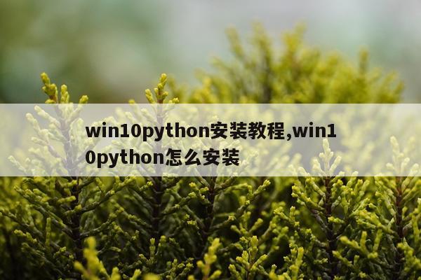 win10python安装教程,win10python怎么安装