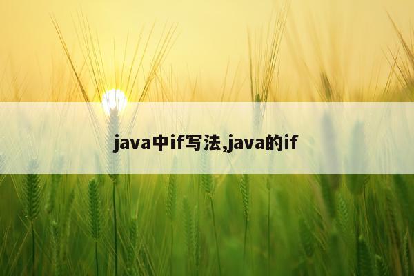 java中if写法,java的if