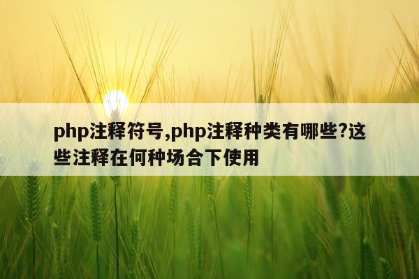 php注释符号,php注释种类有哪些?这些注释在何种场合下使用