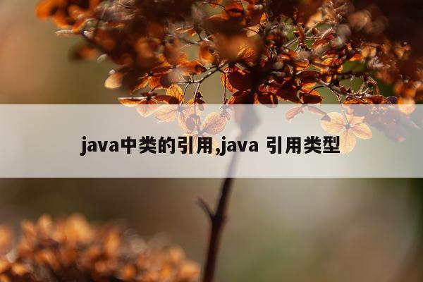 java中类的引用,java 引用类型