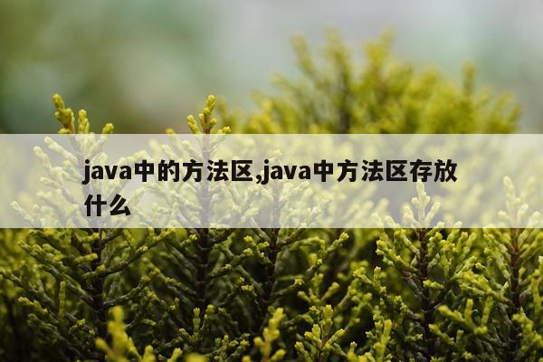 java中的方法区,java中方法区存放什么