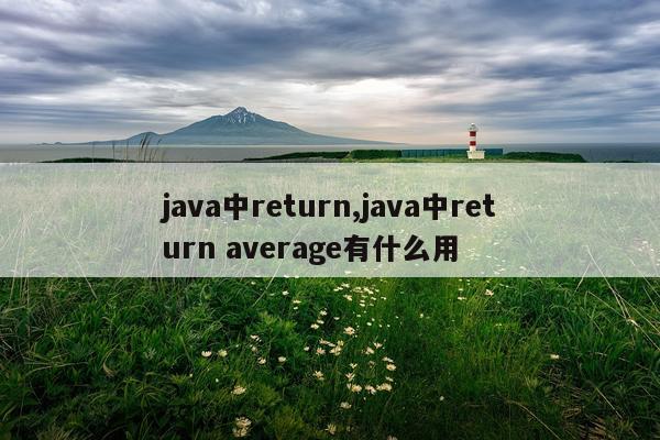 java中return,java中return average有什么用
