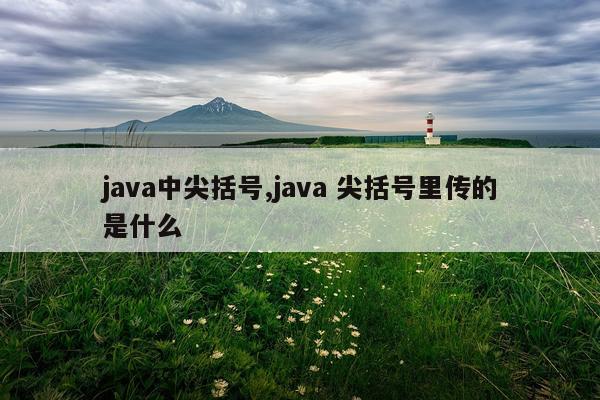 java中尖括号,java 尖括号里传的是什么