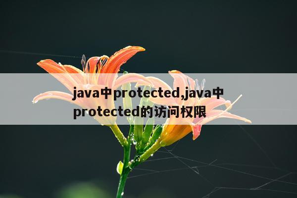 java中protected,java中protected的访问权限