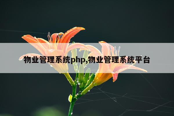 物业管理系统php,物业管理系统平台