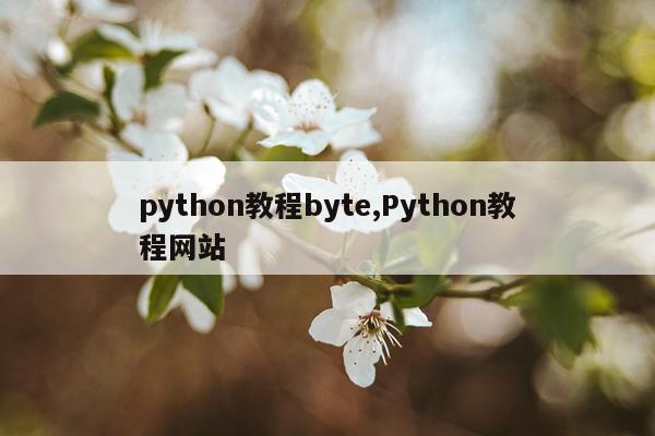 python教程byte,Python教程网站