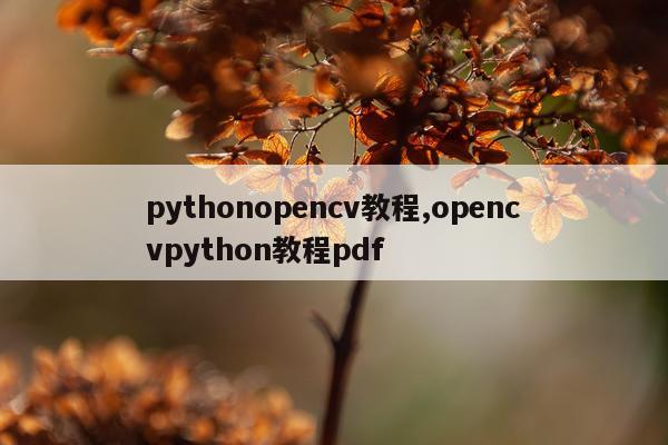 pythonopencv教程,opencvpython教程pdf
