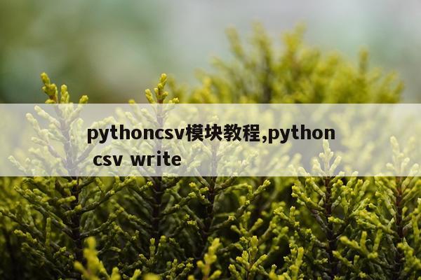 pythoncsv模块教程,python csv write